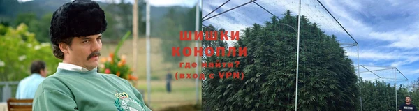 прущие грибы Куйбышев