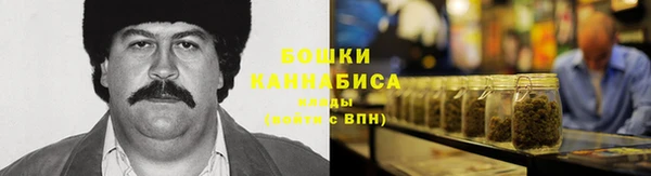 прущие грибы Всеволожск