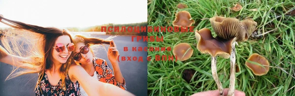 Альфа ПВП Липки