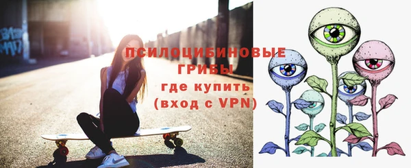 гидра Ладушкин