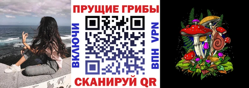 купить наркотик  Кяхта  Псилоцибиновые грибы прущие грибы 